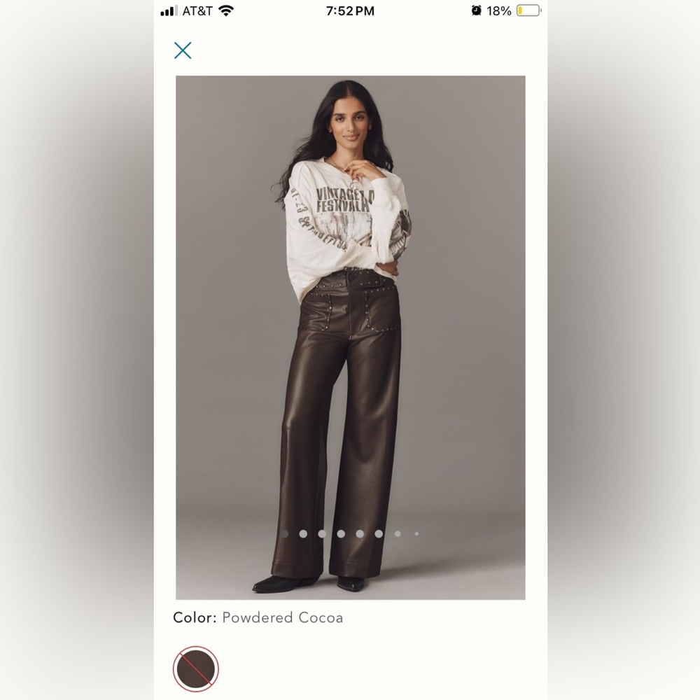 Anthropologie Colette Pant Full Length Faux Leather, size 33